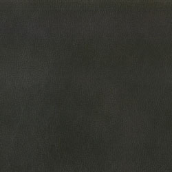 Delray Shitake (Leather)