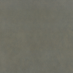 Sidekick Grey (Leather)