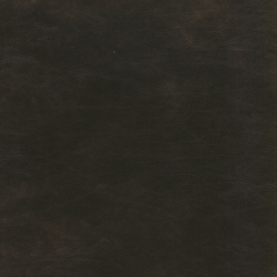Tanner Walnut