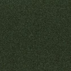 Rio Spinach